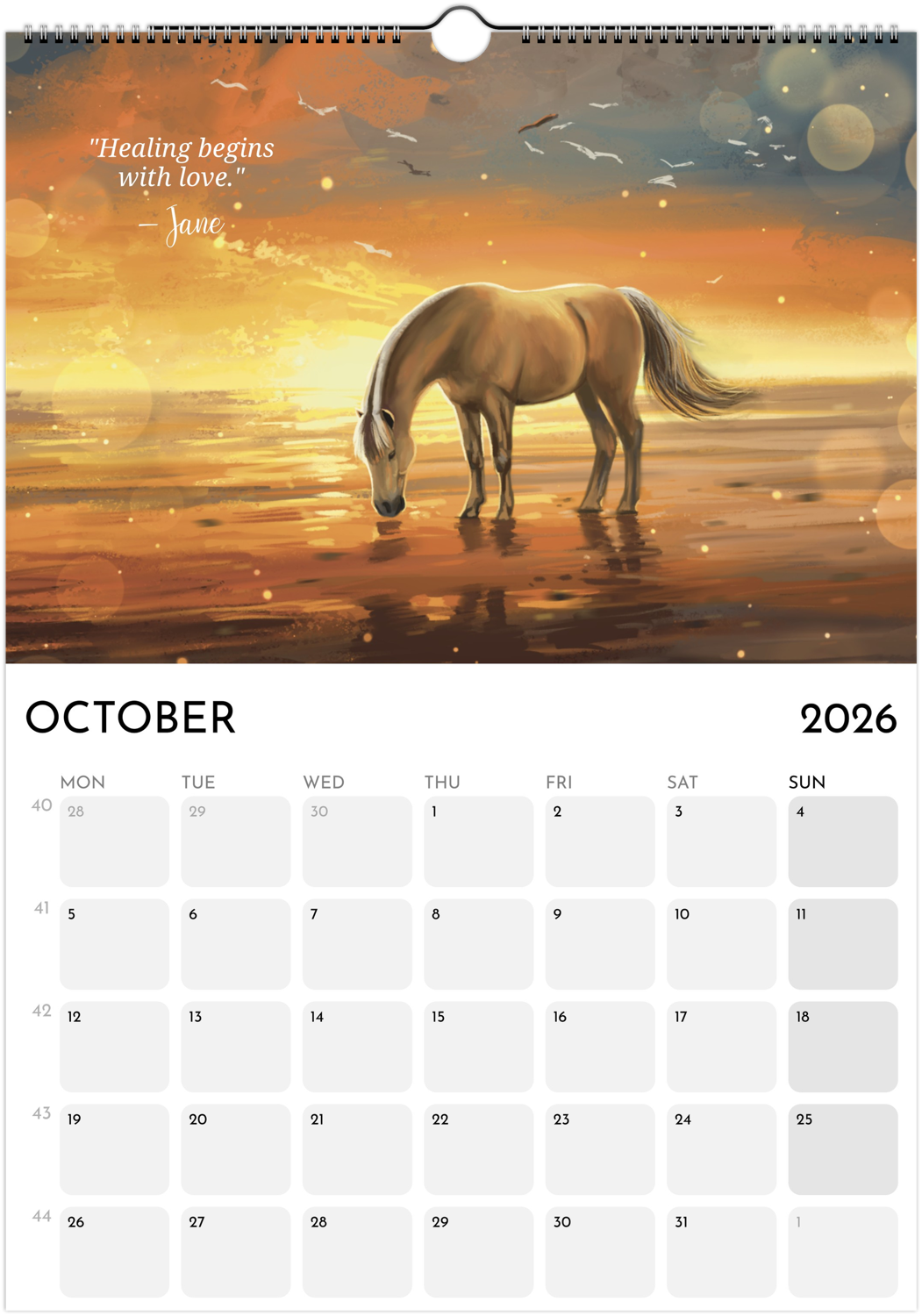 Calender A4, Messages from the horses