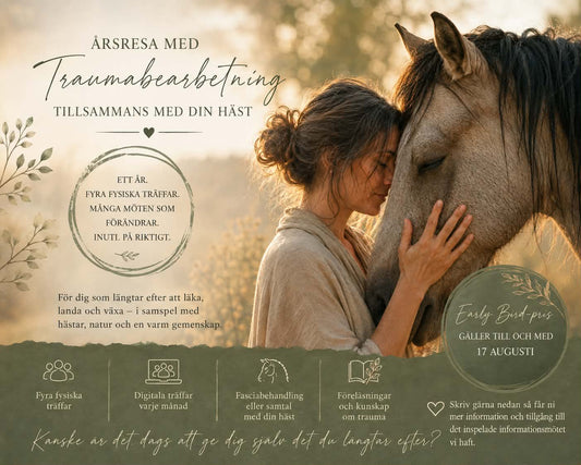 A year journey in trauma work for humans and horses has started!