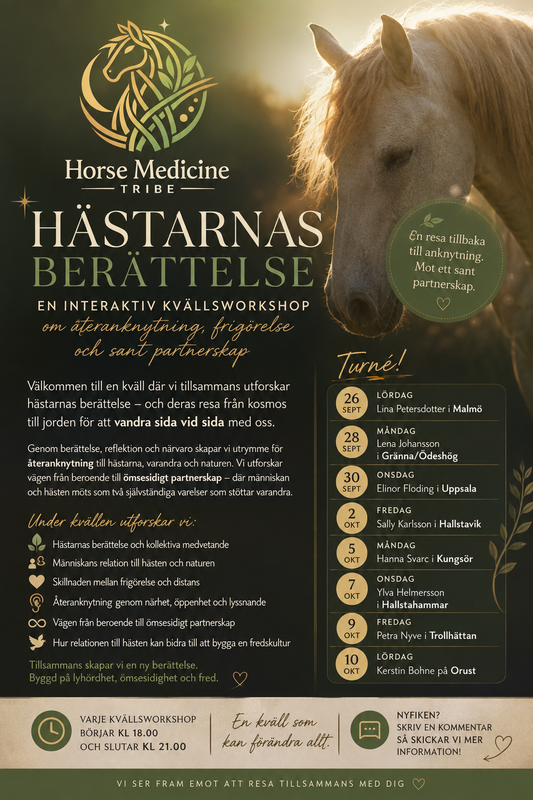 Hästarnas Berättelse - Interaktiv workshop
