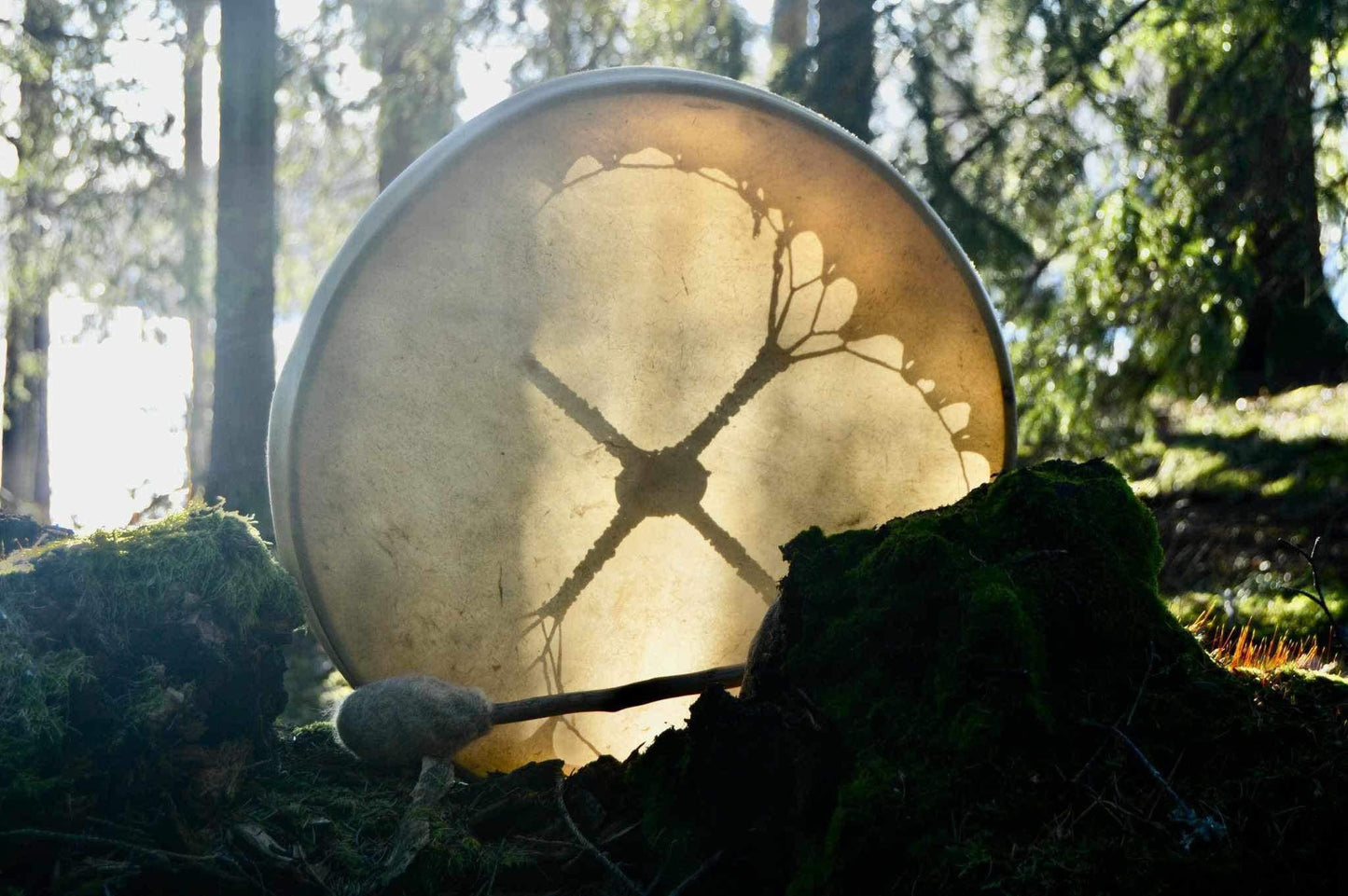 Hästmedicin trumma - personligt skapad för dig med din hästs medicin