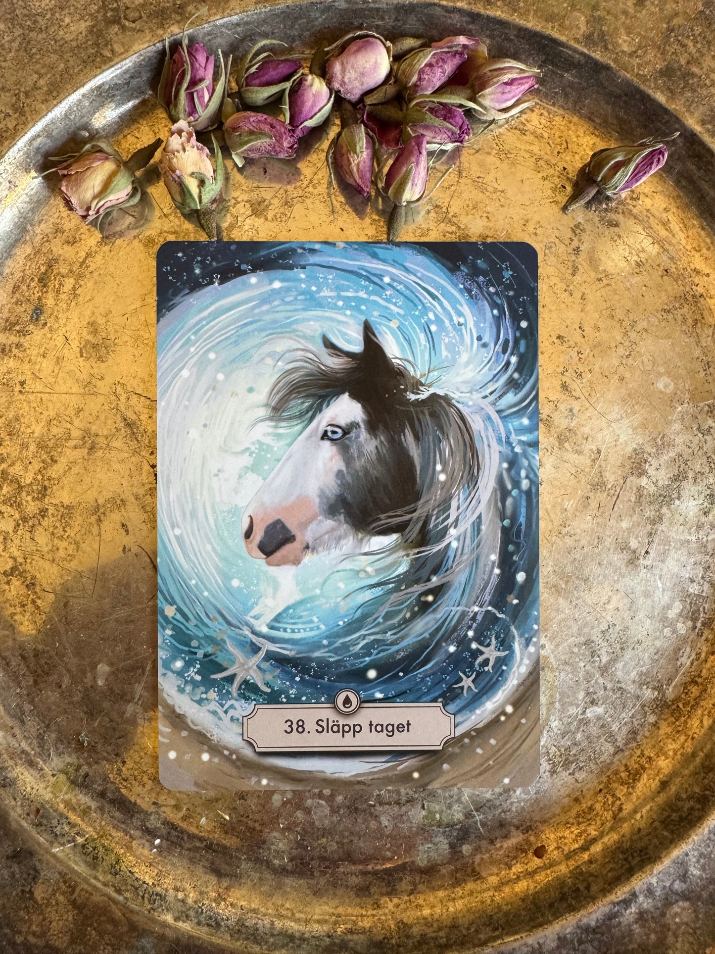 Hästarnas budskap - Orakel kortlek. Guld versionen! Svenska