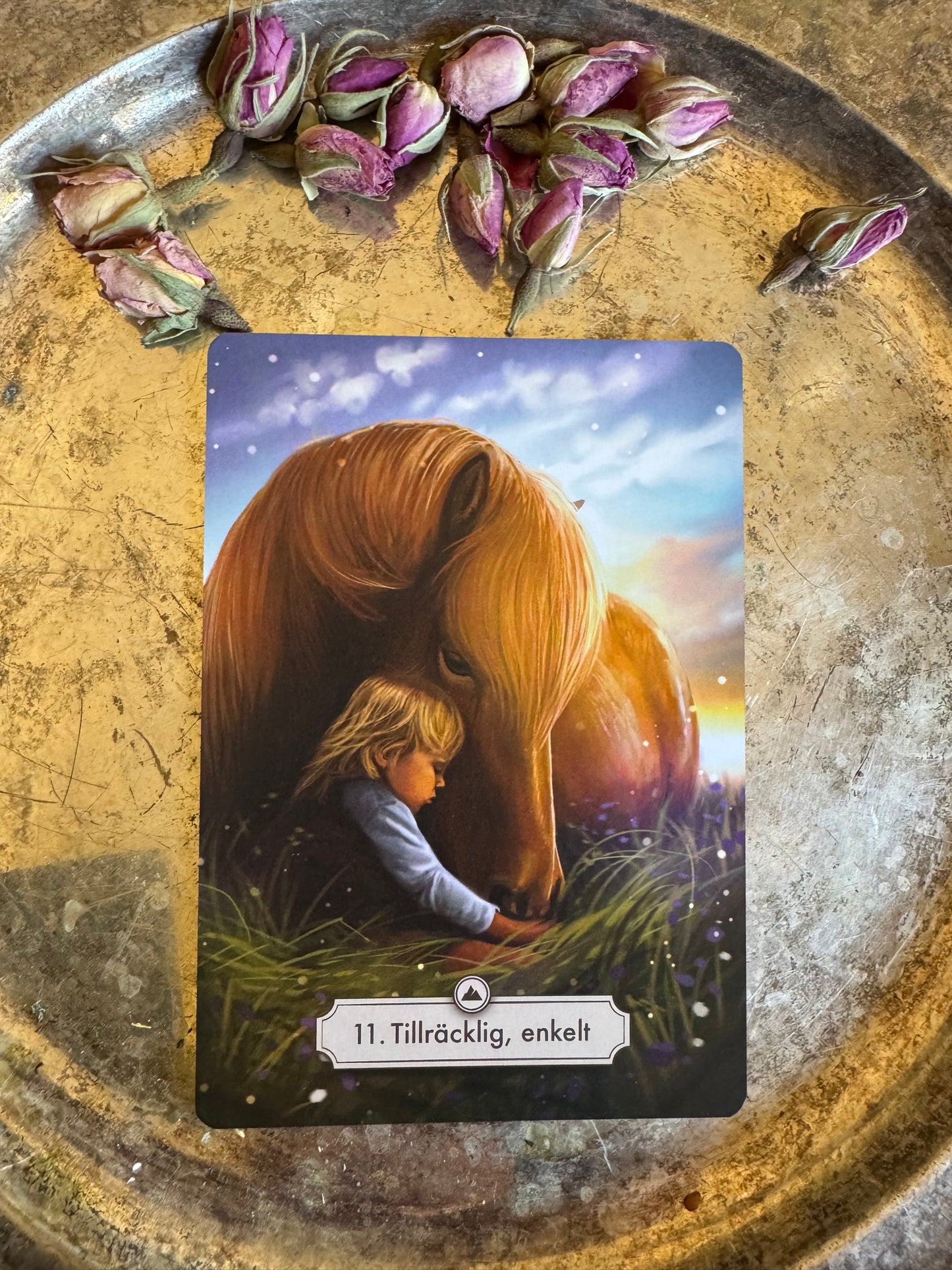 Hästarnas budskap - Orakel kortlek. Guld versionen! Svenska