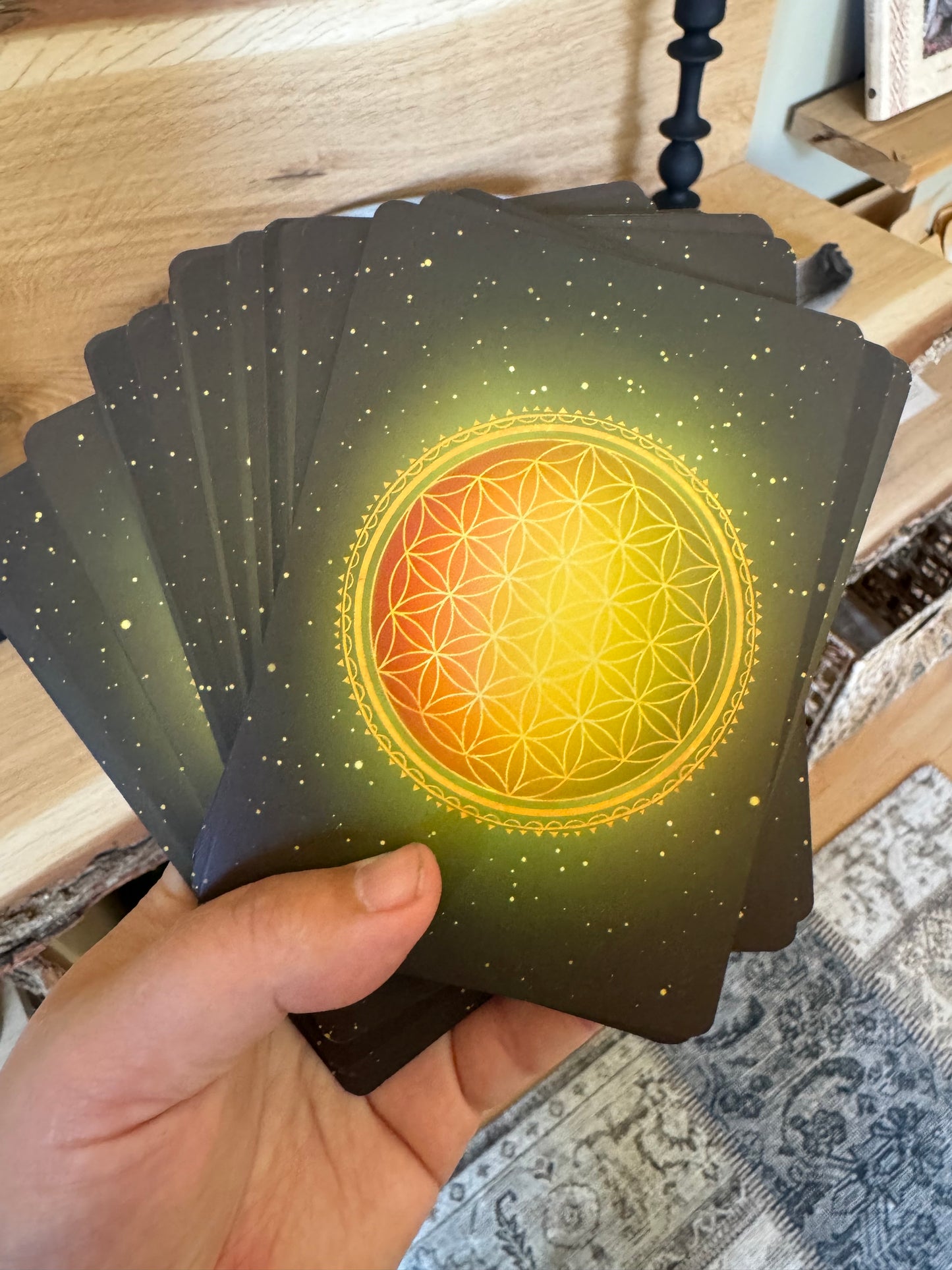 Package deal: Oracle card- deck and the book "Unlocking the wisdom of horses within you" ENG