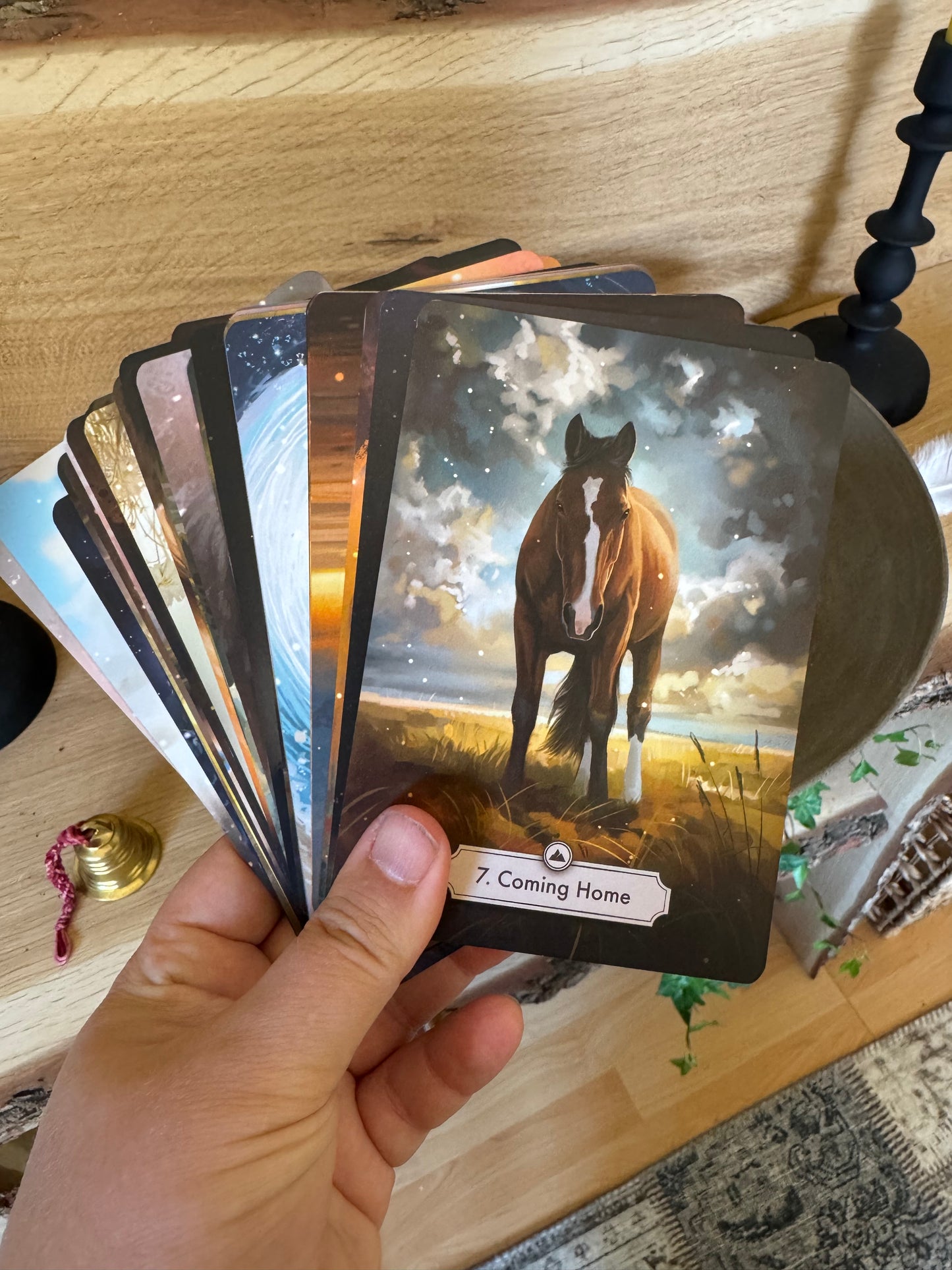 Package deal: Oracle card- deck and the book "Unlocking the wisdom of horses within you" ENG