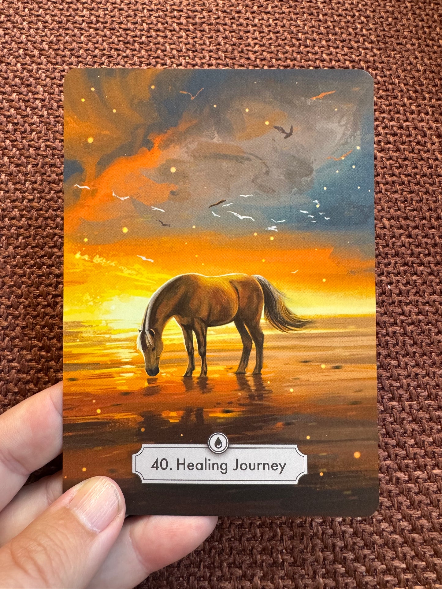 Package deal: Oracle card- deck and the book "Unlocking the wisdom of horses within you" ENG